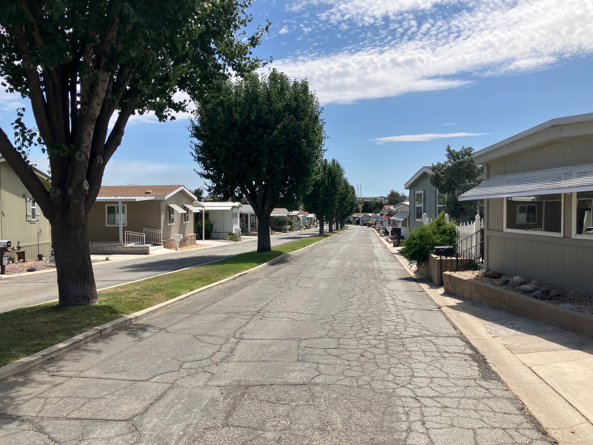 A tree-lined street inside the community, homes set back behind mown lawns.
