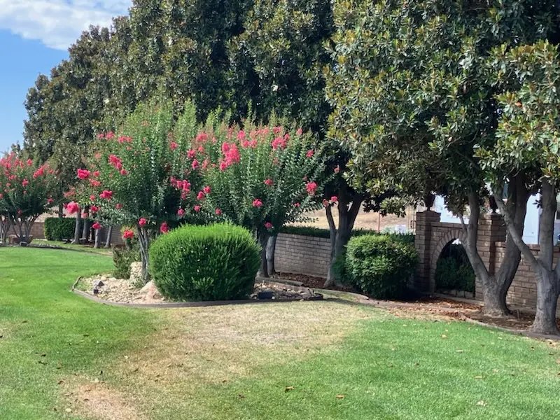 Lawns and crape myrtles in bloom along the grounds